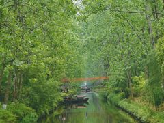 -合肥滨湖国家森林公园