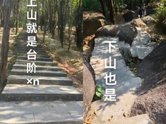 -火炉山森林公园