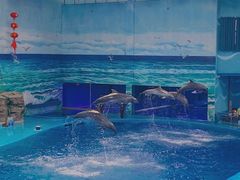 -多彩贵州城极地海洋世界