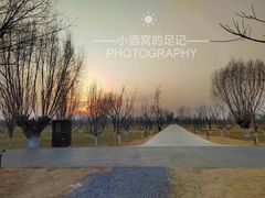 -汉长安城未央宫国家考古遗址公园