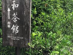 -和茶馆(西溪栖悦城店)