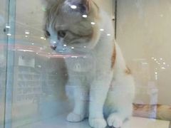 -宠物世家(仲盛世界商城店)