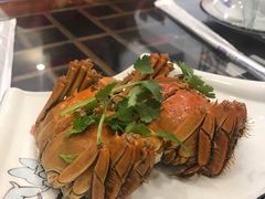 -呼吸森林·生态农庄农家乐私房菜