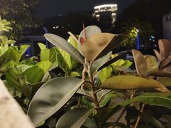 -漫笙舍Manse·咖啡·民宿
