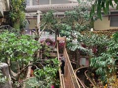 -正佳雨林生态植物园
