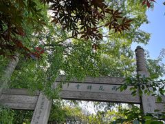 -雨花胜境