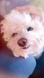 -Pink You美甲美睫纹绣定制中心