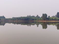 -东郊湿地公园