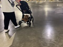 -百好乐宠物友好餐厅(朝外大街店)