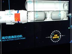 -贝林大翅鲸简餐厅(国家海洋博物馆店)