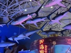 -烟台海昌鲸鲨海洋公园