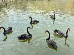 -新疆天山野生动物园