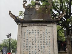 -鲁镇