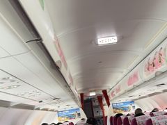 -丽江三义国际机场