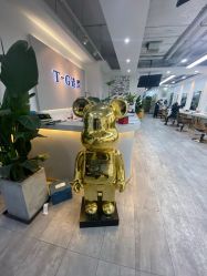 -爱秀造型 T-G