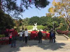 -金鸡山公园