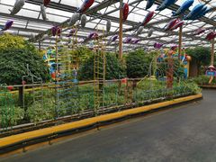 -南宫五洲植物乐园