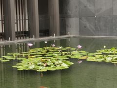-三亚太阳湾柏悦酒店