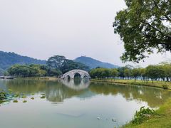 -顺峰山公园