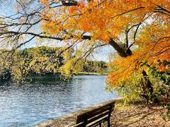 -上海共青森林公园