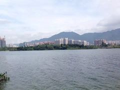 -飞来湖湿地公园