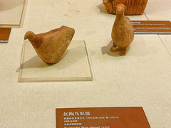 -甘肃省博物馆