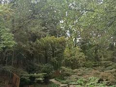 -张鸟园农家乐(张鸟园店)