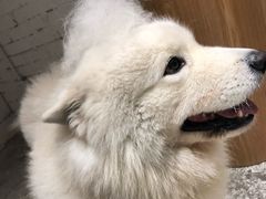 -厦门泰谷酒店(中山路镇海路地铁站店)