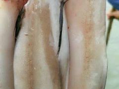 -浪琴湾尾角仔海鲜坊