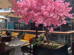 -Hatsune隐泉日式料理(三里屯太古里店)
