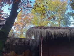 -终南山南五台景区