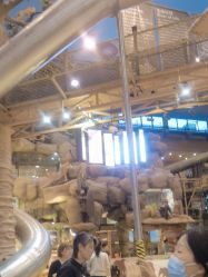 -卡通尼·Safari非洲探索乐园·生日会(金桥国际商业广场店)