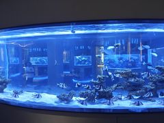 -上和臻品中国菜(花园街店)