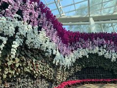 -石家庄市植物园