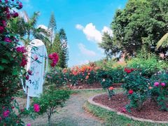 -人民公园(罗湖区)