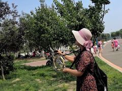 -丁香湖公园