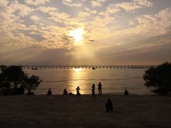 -宝安西湾红树林湿地公园