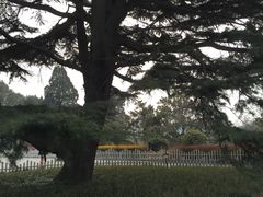 -青岛德国总督楼旧址博物馆