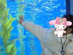 -南昌融创海世界