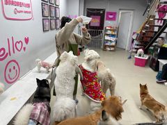 -汪说·狗咖(旺城大厦店)