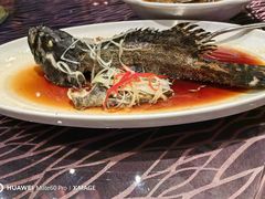 -上海新锦江大酒店