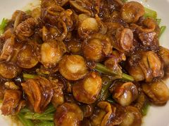 滋味小扇贝-宝发园名菜馆