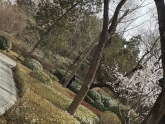-迎泽公园