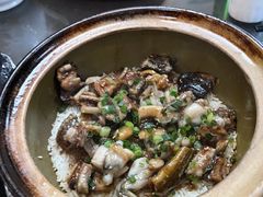 -红星光发煲仔饭(文海店)