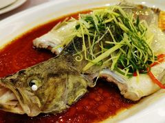 -寻味顺德·珍之宝酒楼(银钻店)