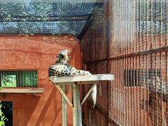 -青藏高原野生动物园