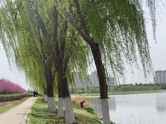 -渭河城市绿地运动公园