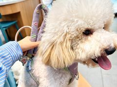 -联合动物医院(光谷诊疗中心)