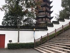 -观潮胜地公园