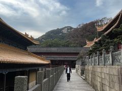-普陀山风景名胜区-法雨禅寺